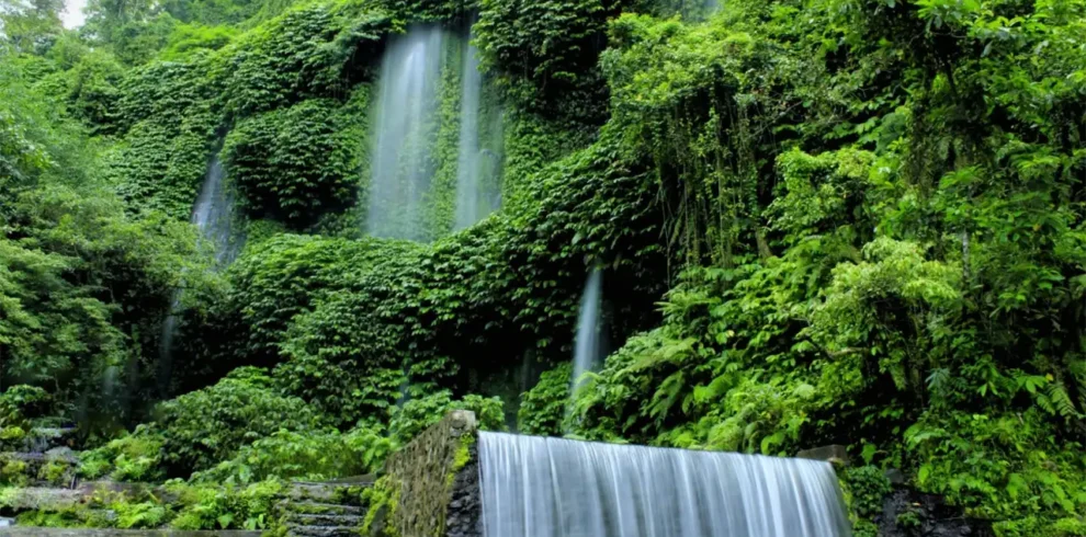Benang-Kelambu-Waterfall-Lombok